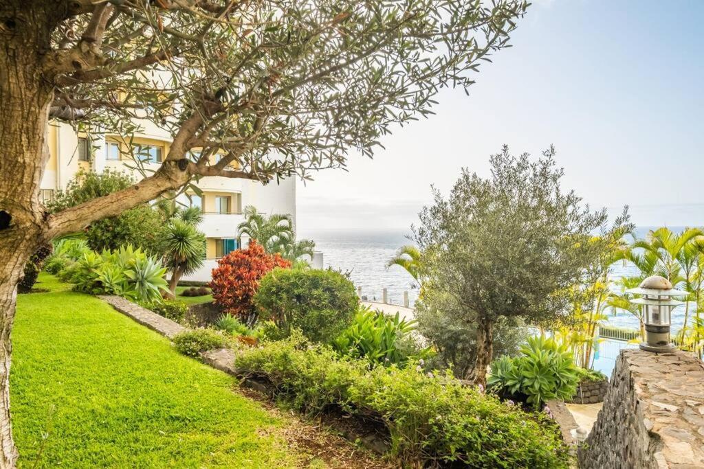 Super Cliff Apartment Funchal  Ngoại thất bức ảnh